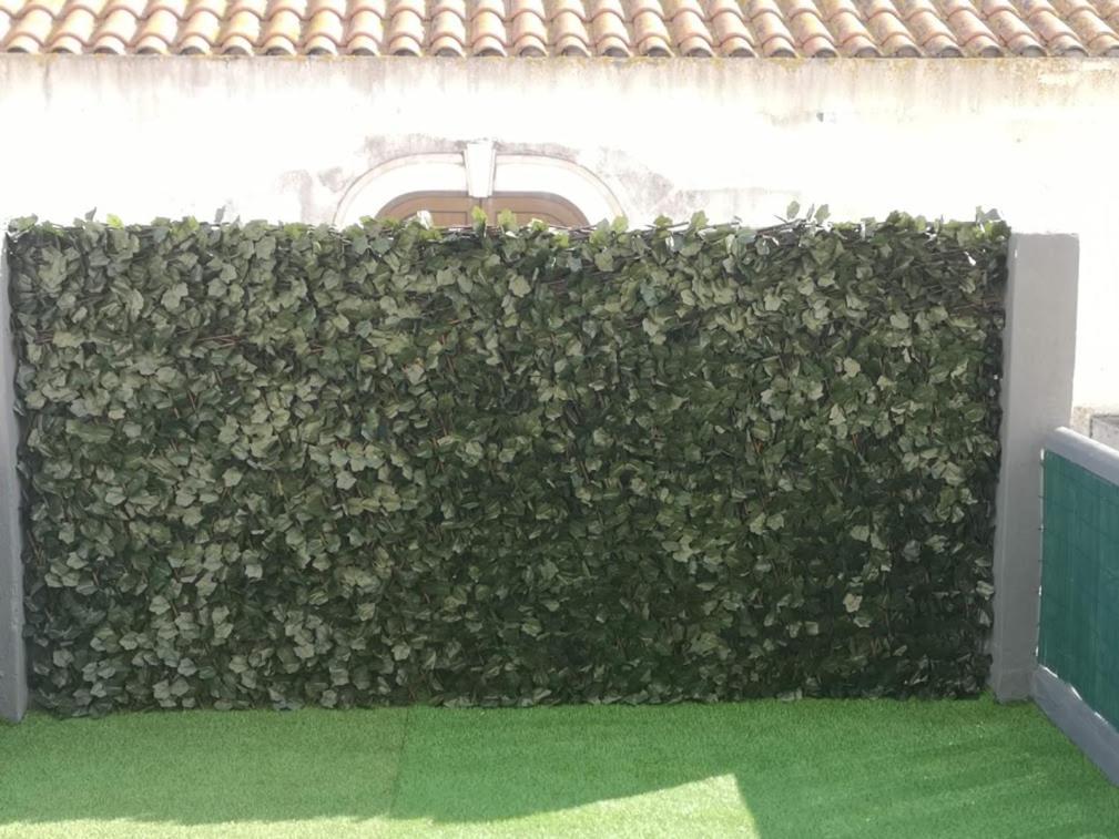 Residencial S Juliao Al Otel Figueira da Foz Dış mekan fotoğraf